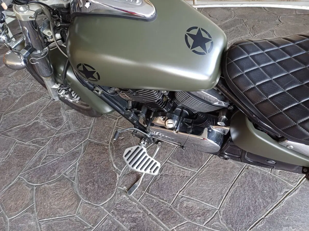 Kawasaki VN 800 Classic (2001 - 06) (5)