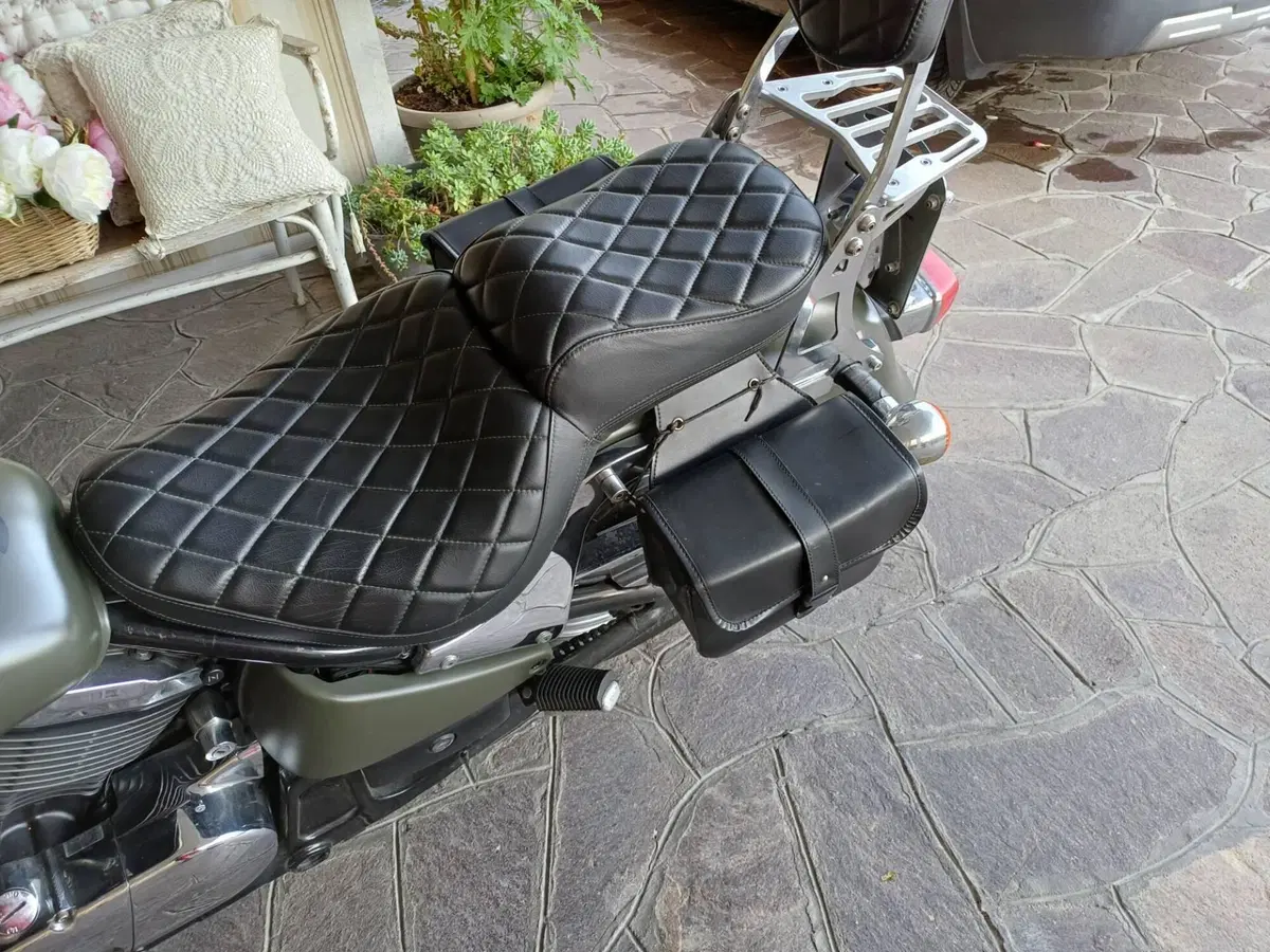 Kawasaki VN 800 Classic (2001 - 06) (6)