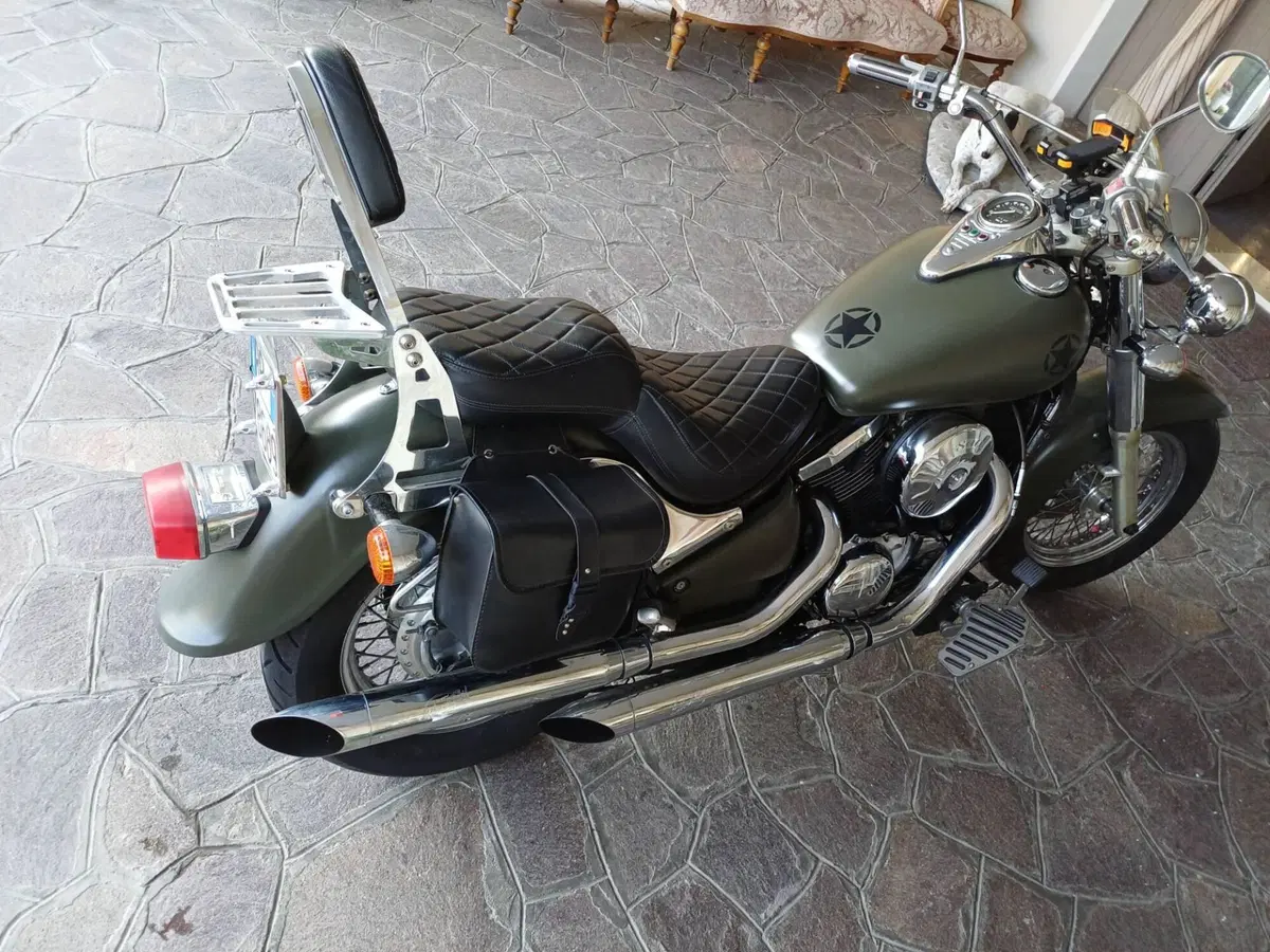Kawasaki VN 800 Classic (2001 - 06) (7)