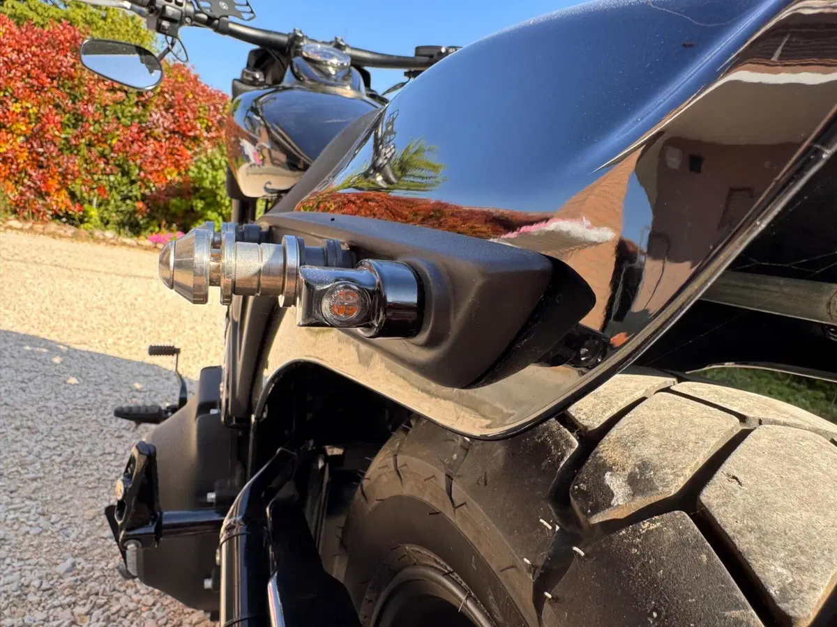 Harley-Davidson Fat Bob 114 (2021 - 25) (7)