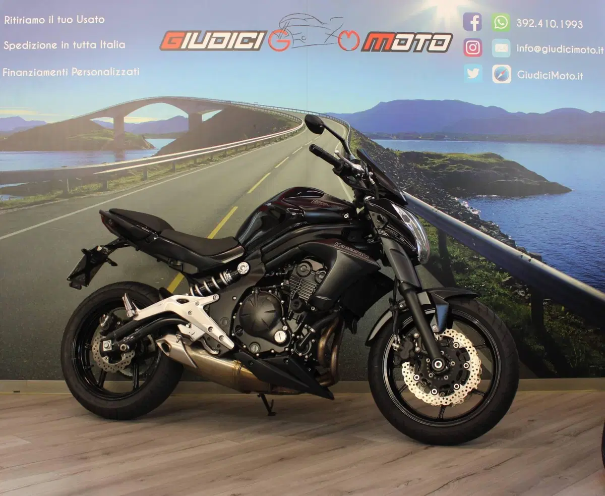 Kawasaki ER-6N (2012 - 13)