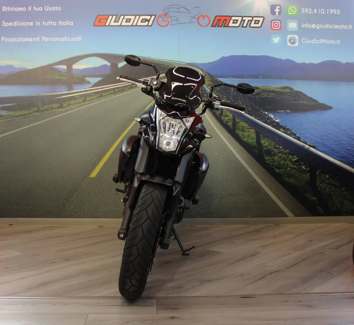 Kawasaki ER-6N (2012 - 13) (2)