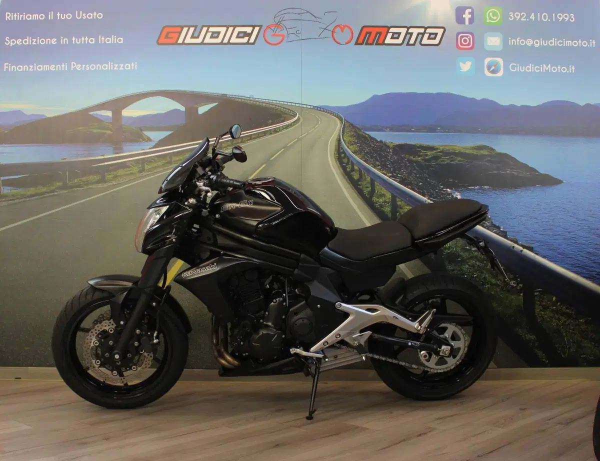 Kawasaki ER-6N (2012 - 13) (3)