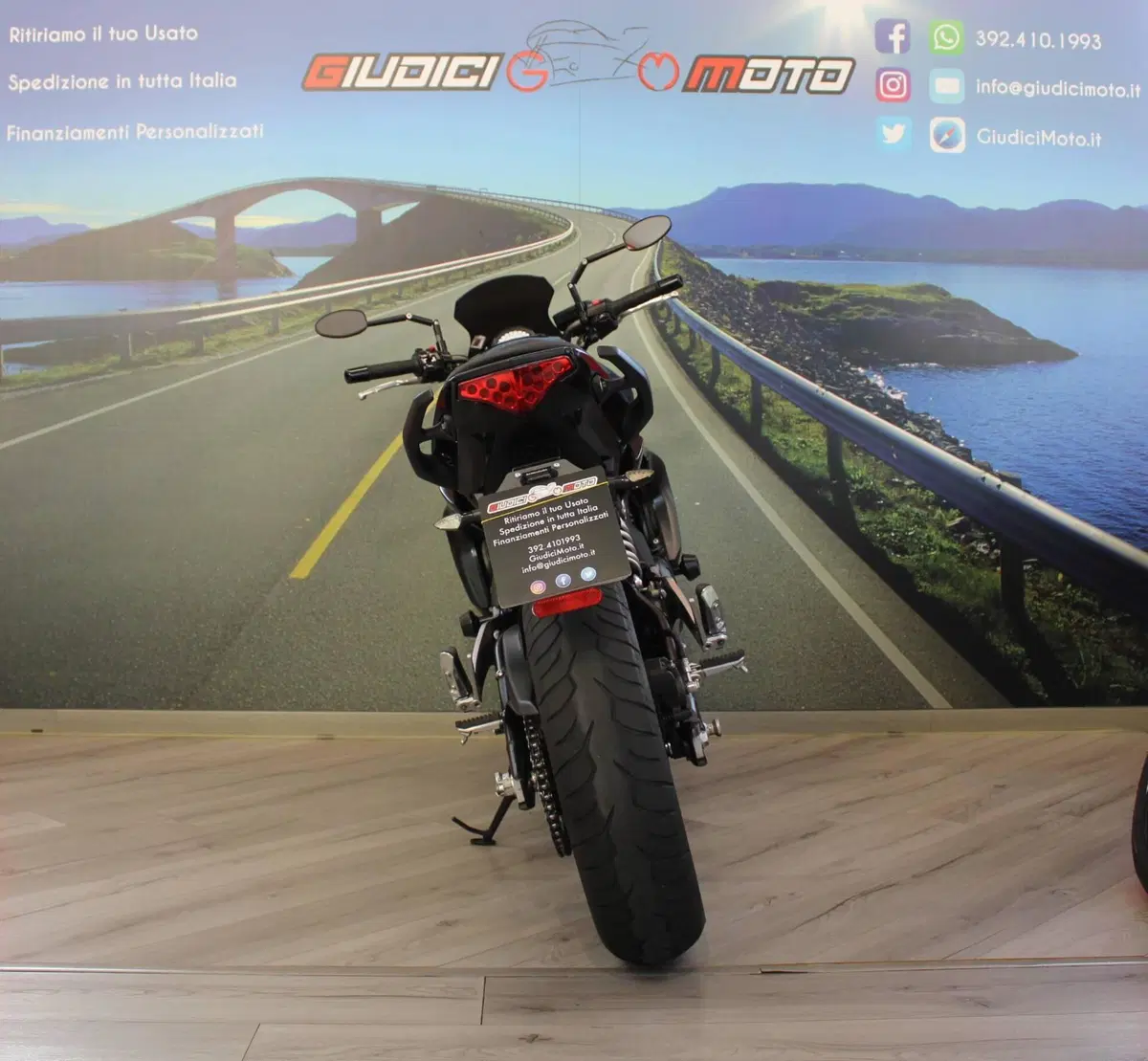 Kawasaki ER-6N (2012 - 13) (4)