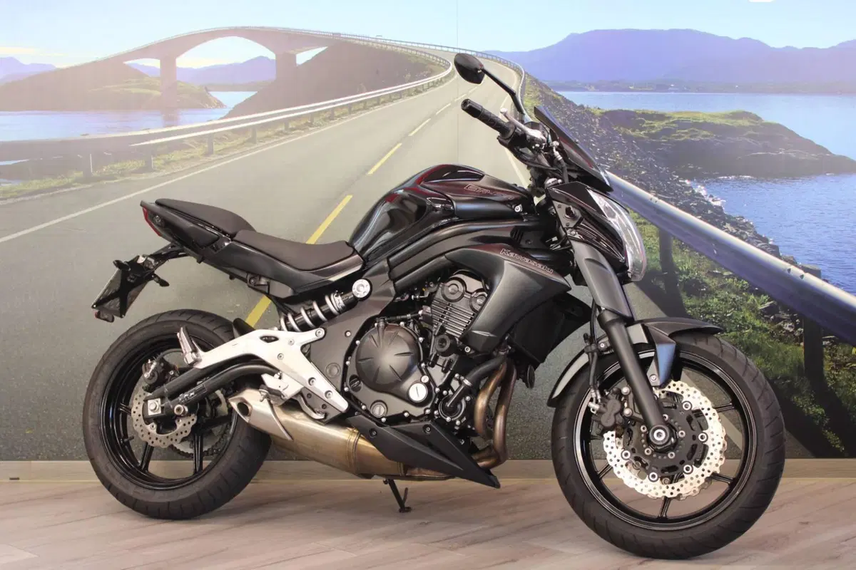 Kawasaki ER-6N (2012 - 13) (5)