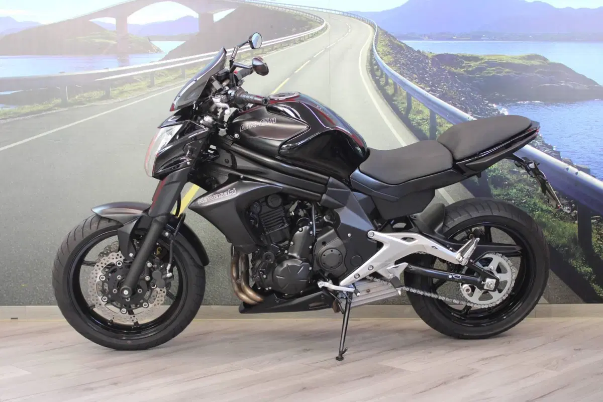 Kawasaki ER-6N (2012 - 13) (7)