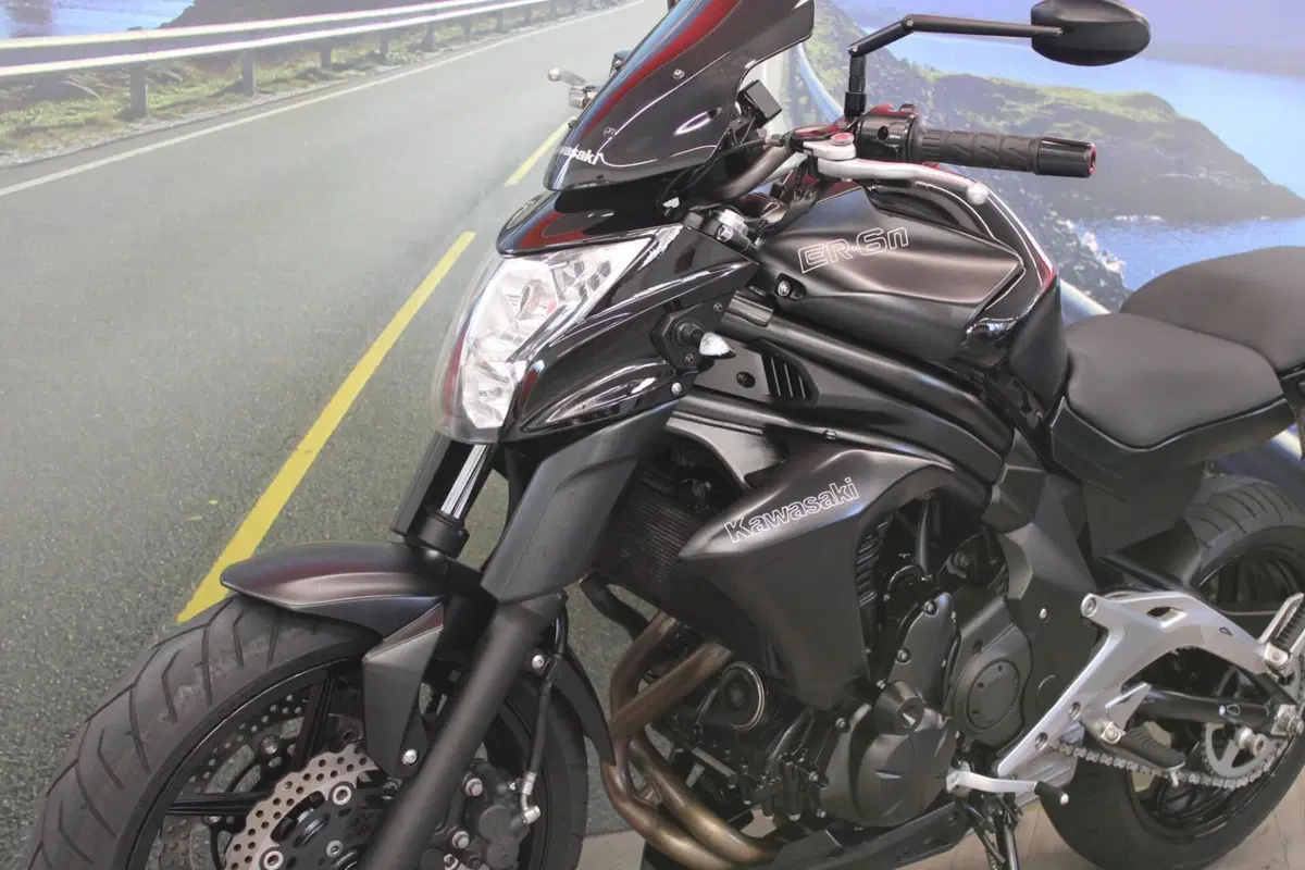 Kawasaki ER-6N (2012 - 13) (8)