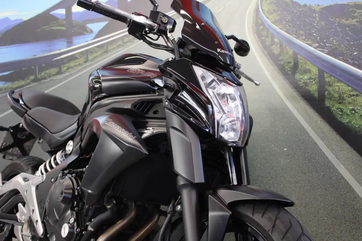 Kawasaki ER-6N (2012 - 13) (12)