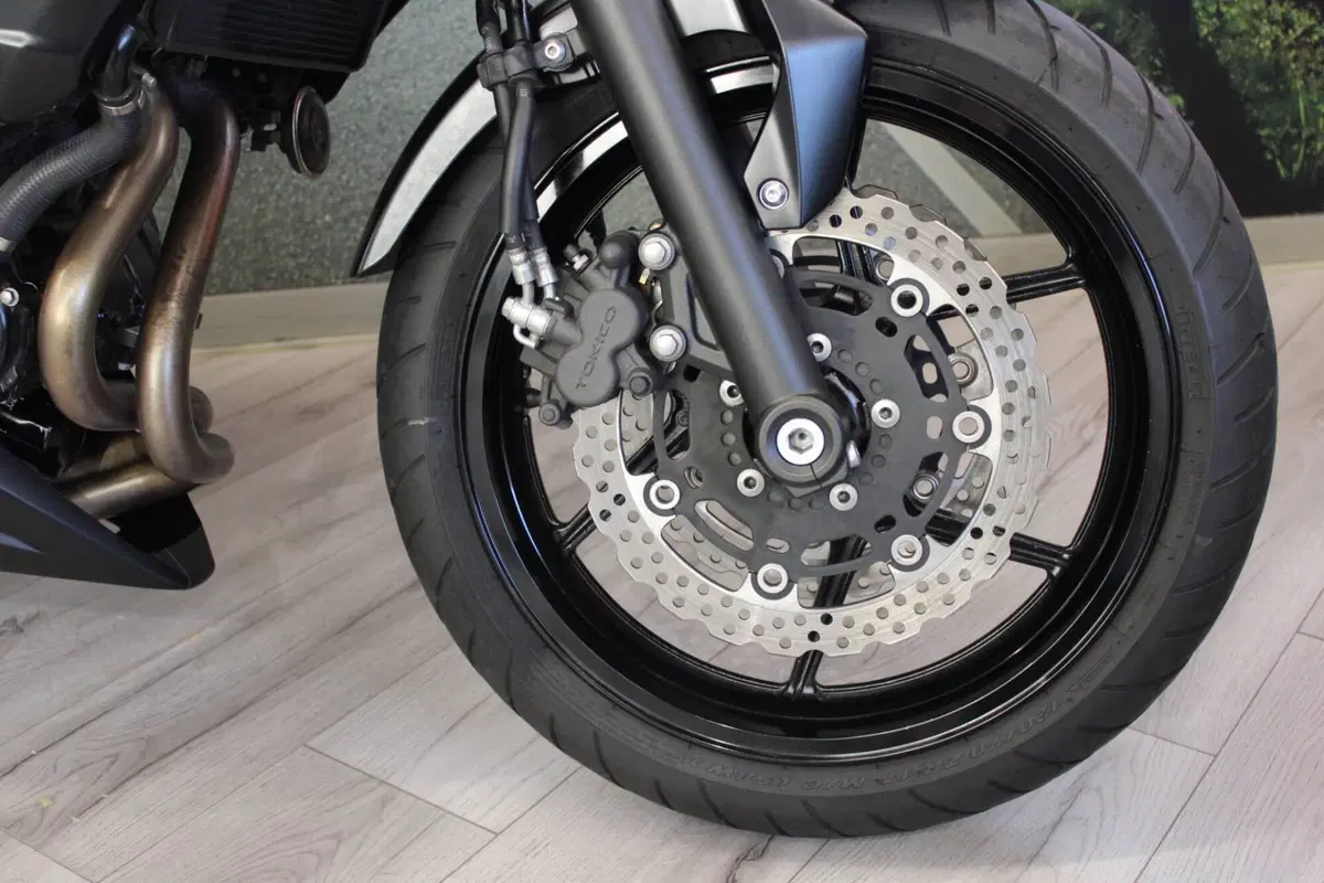 Kawasaki ER-6N (2012 - 13) (13)