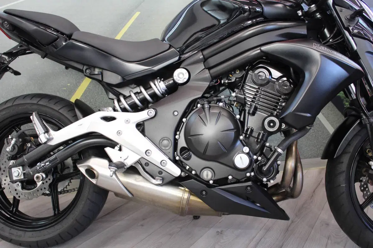 Kawasaki ER-6N (2012 - 13) (14)