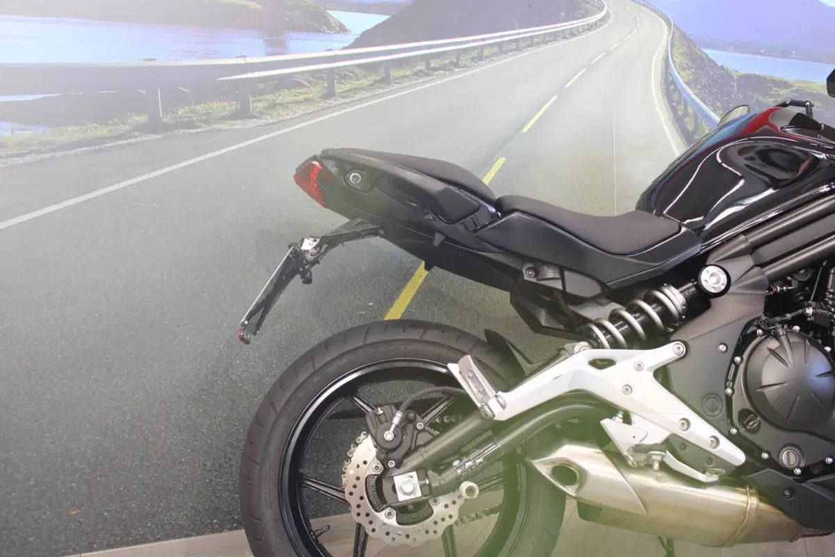 Kawasaki ER-6N (2012 - 13) (15)