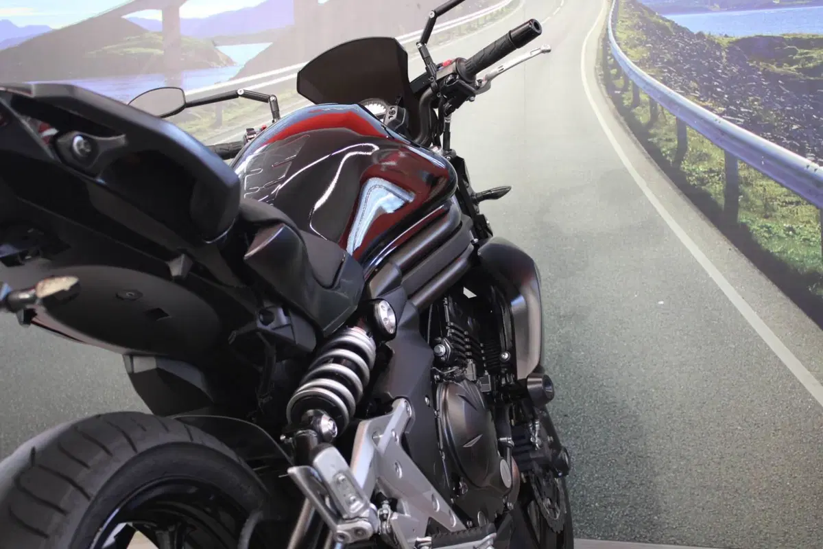 Kawasaki ER-6N (2012 - 13) (18)
