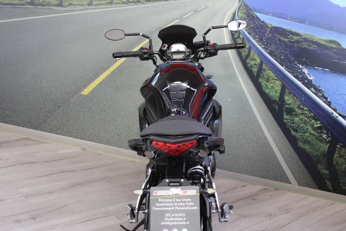 Kawasaki ER-6N (2012 - 13) (19)