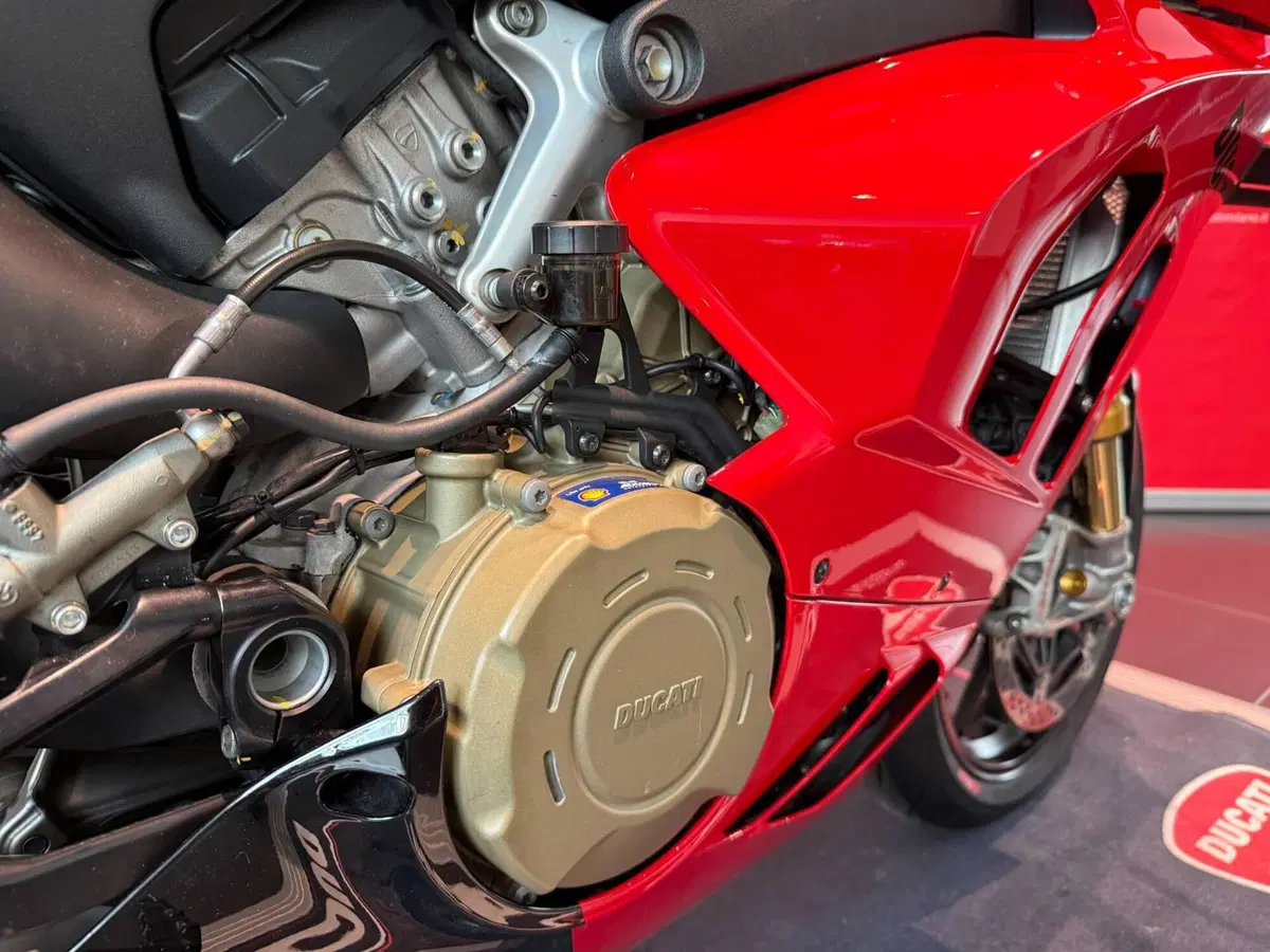 Ducati Panigale V4 S (2022 - 24) (4)