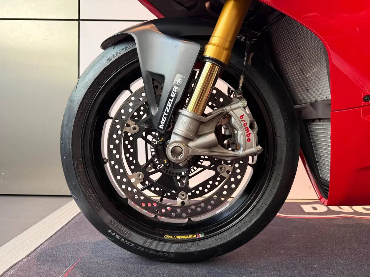 Ducati Panigale V4 S (2022 - 24) (10)