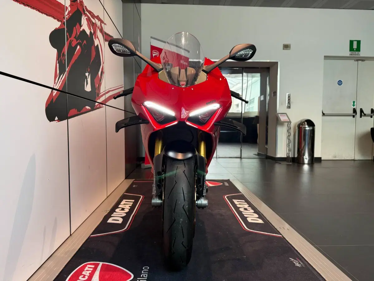Ducati Panigale V4 S (2022 - 24) (13)