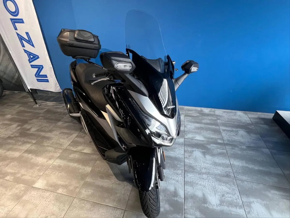Honda Forza 300 (2019 - 20) (9)