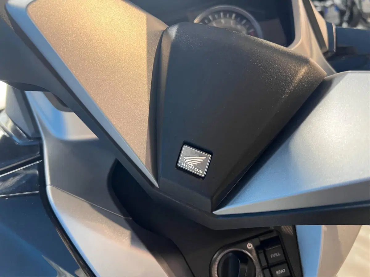 Honda Forza 300 (2019 - 20) (12)