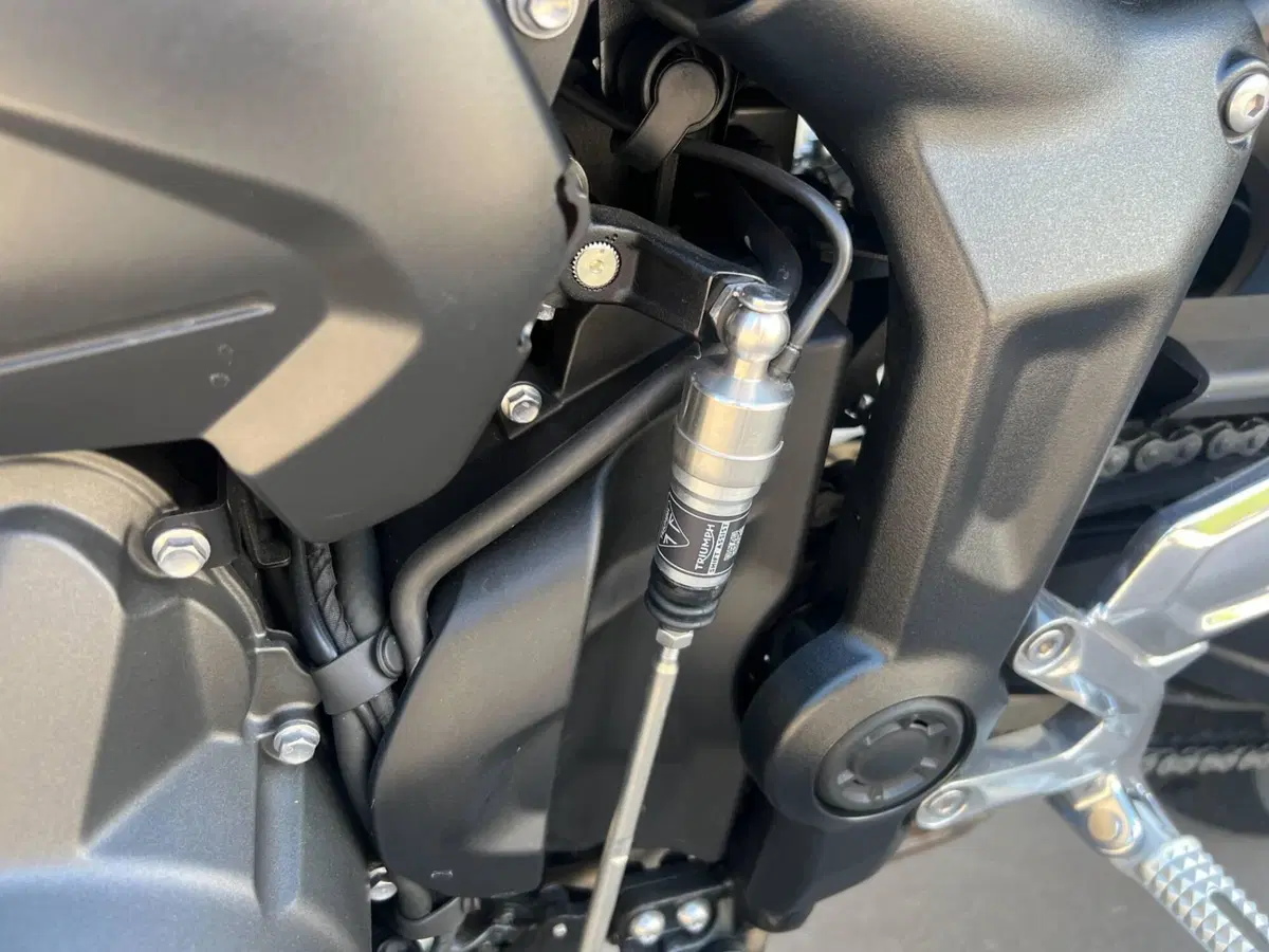 Triumph Trident 660 Triple Tribute Edition (2025 - 26) (7)
