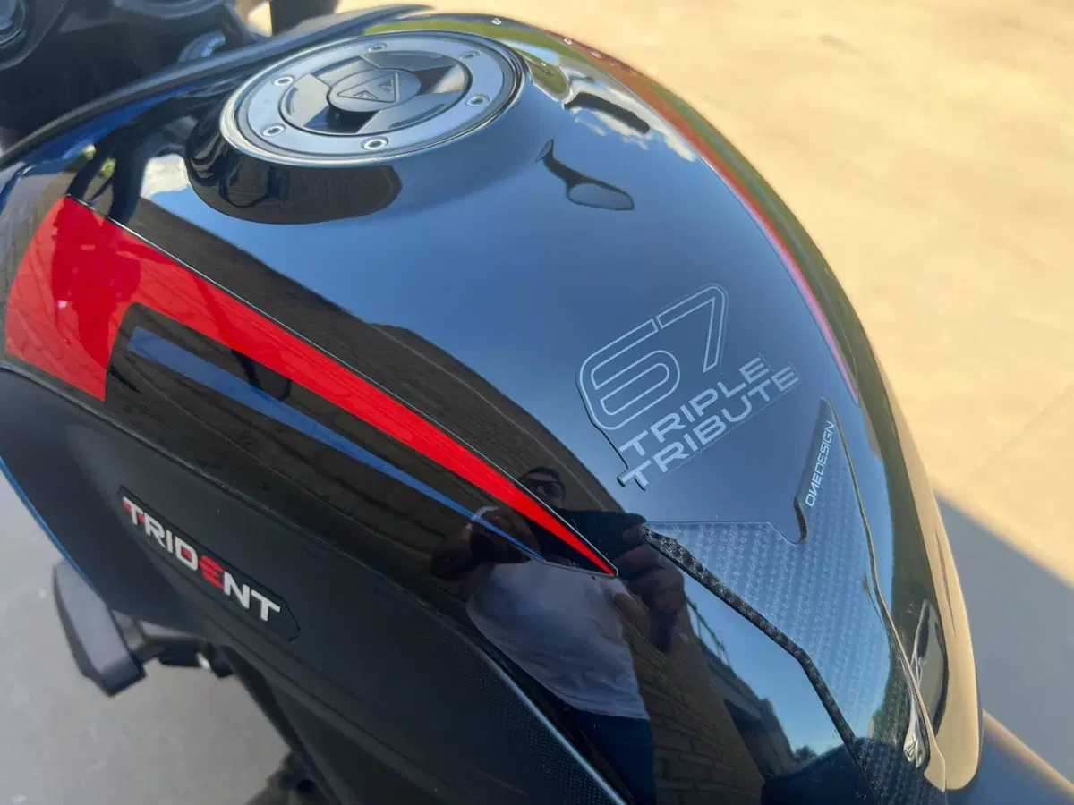 Triumph Trident 660 Triple Tribute Edition (2025 - 26) (8)