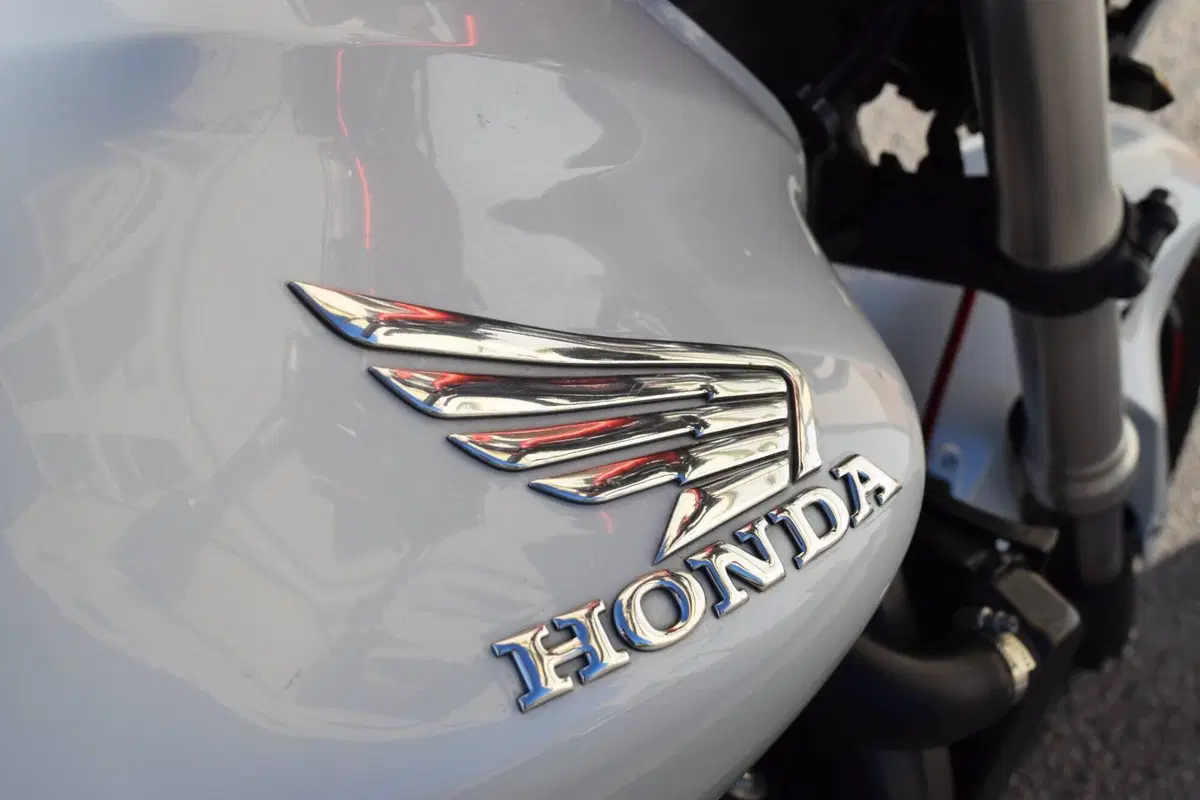 Honda Hornet 600 (2011 - 13) (6)
