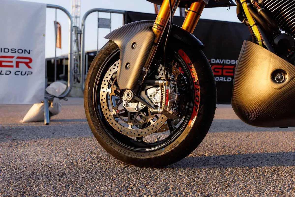 Harley-Davidson Bagger World Cup. Hey Jason, che razza di “bestia” è questa? (11)