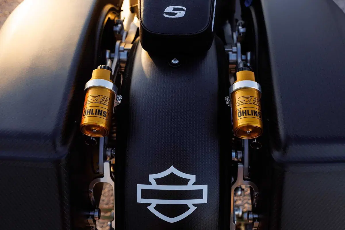Harley-Davidson Bagger World Cup. Hey Jason, che razza di “bestia” è questa? (14)