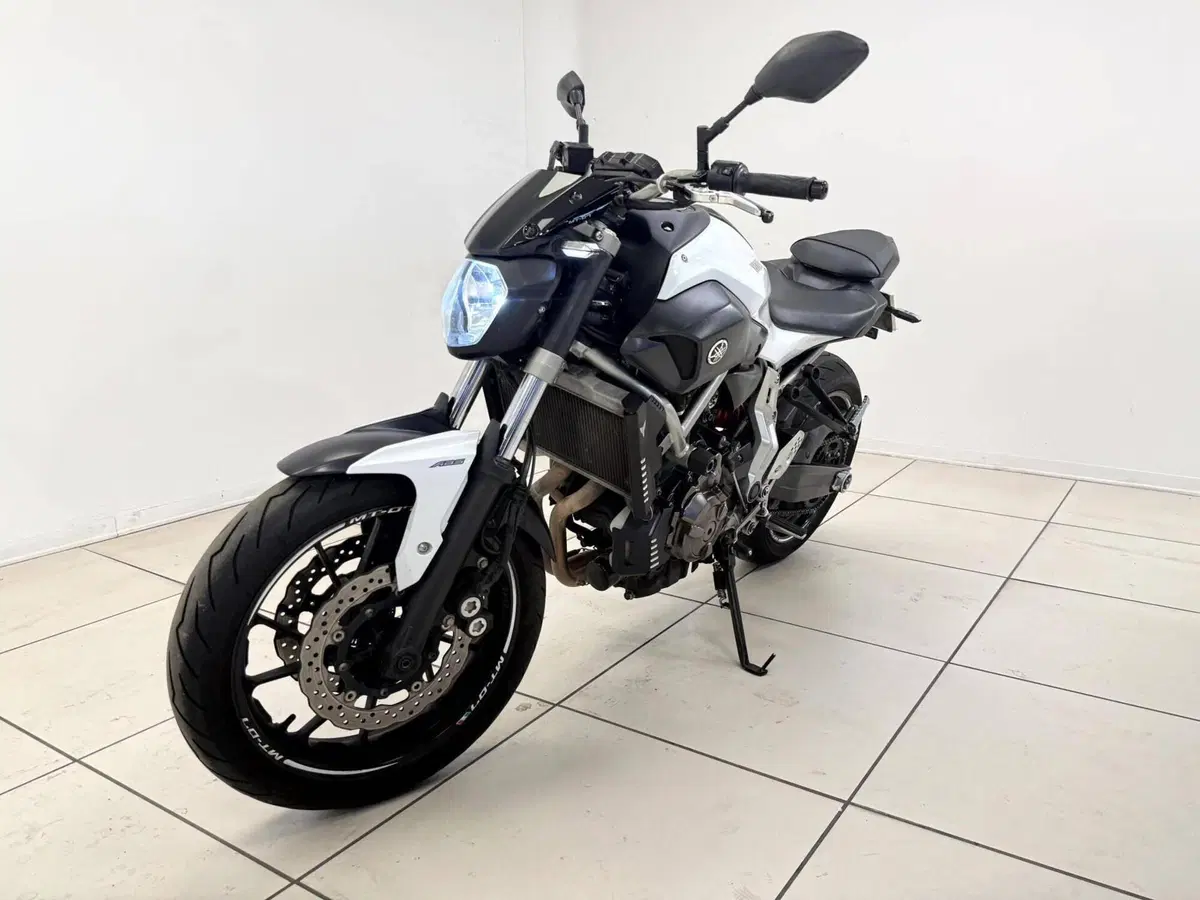Yamaha MT-07 ABS (2014 - 16) (2)