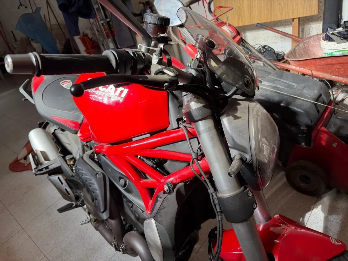 Ducati Monster 1200 (2014 - 16) (7)