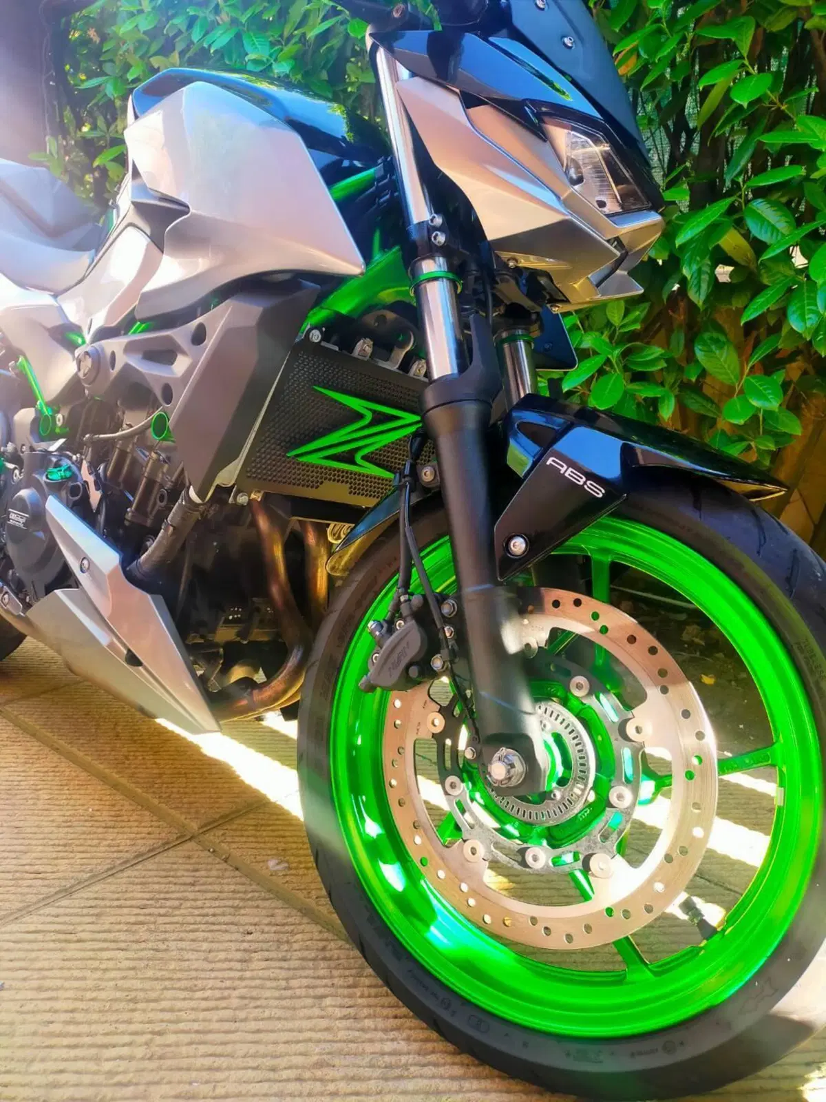 Kawasaki Z 500 SE (2024 - 26) (12)