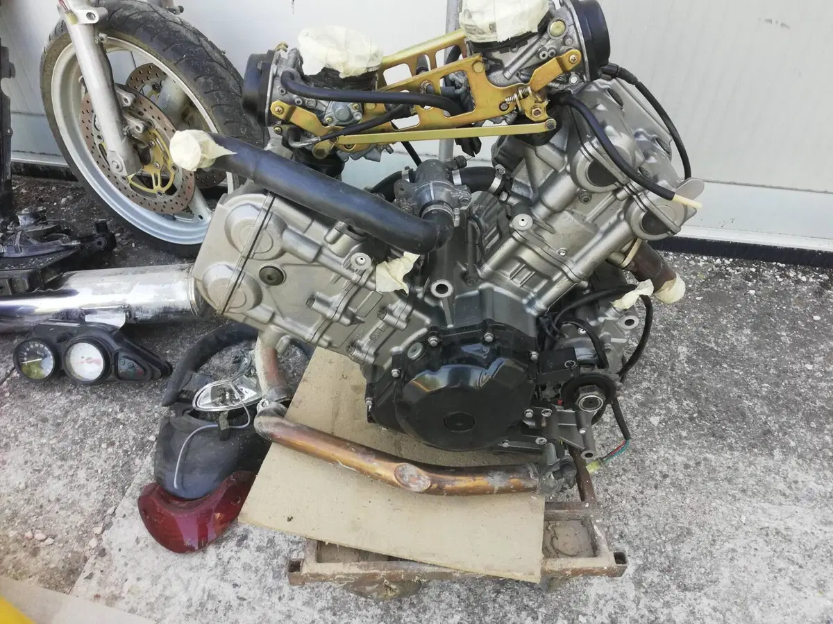 Suzuki SV 650 (1999 - 02) (8)