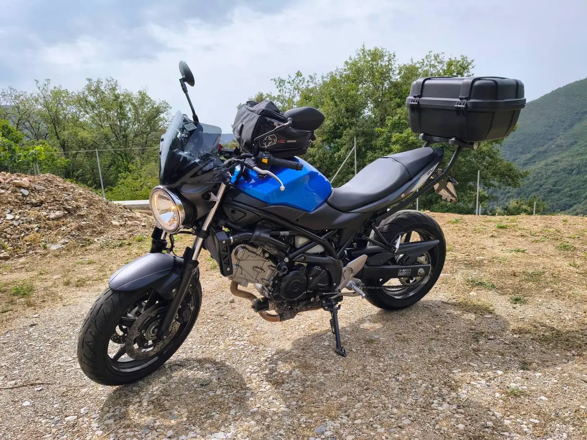 Suzuki SV 650 (2016 - 20) (3)