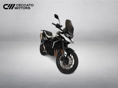 Triumph Tiger 900 GT (2024 - 26) usata