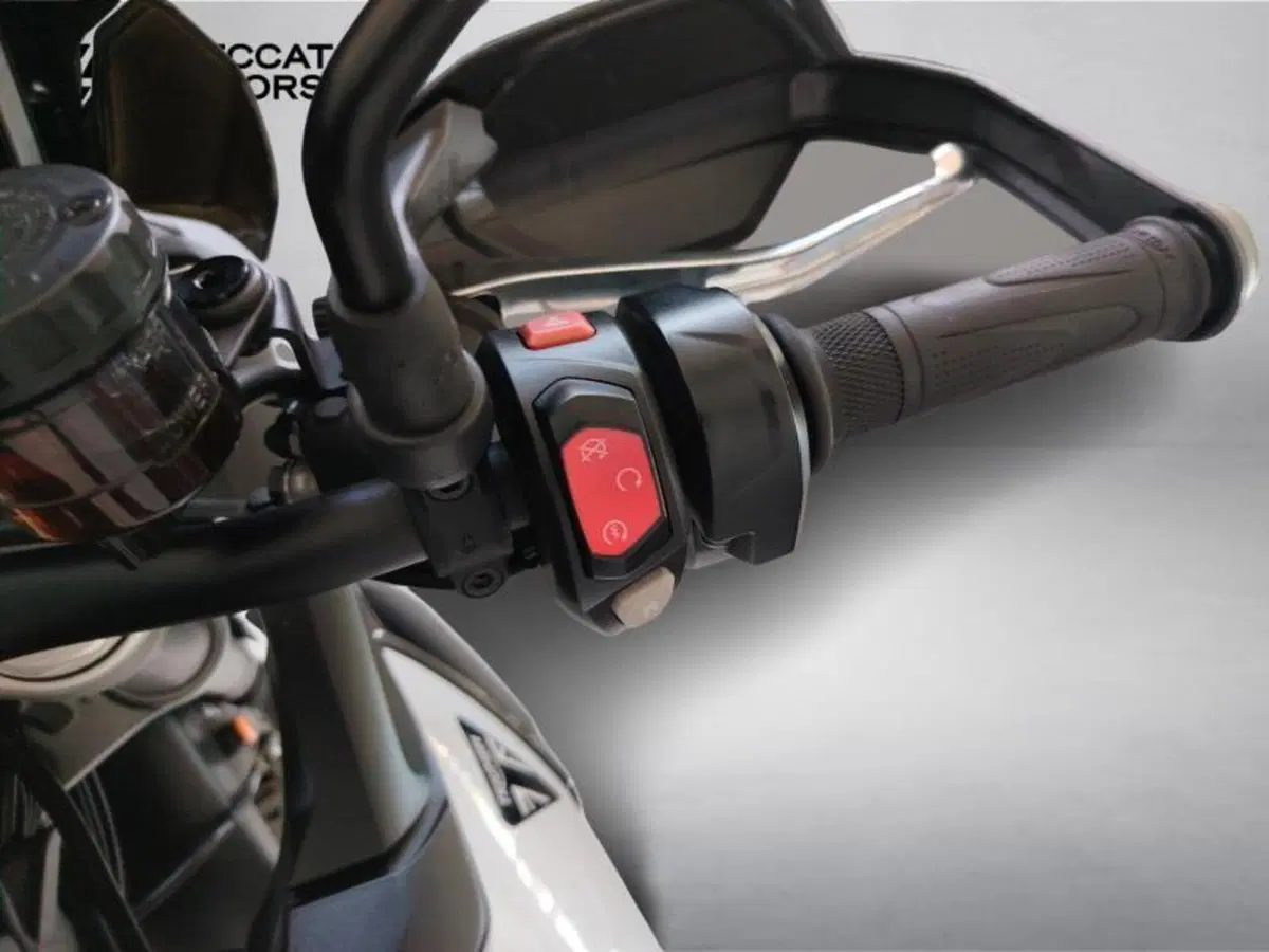 Triumph Tiger 900 GT (2024 - 26) (10)