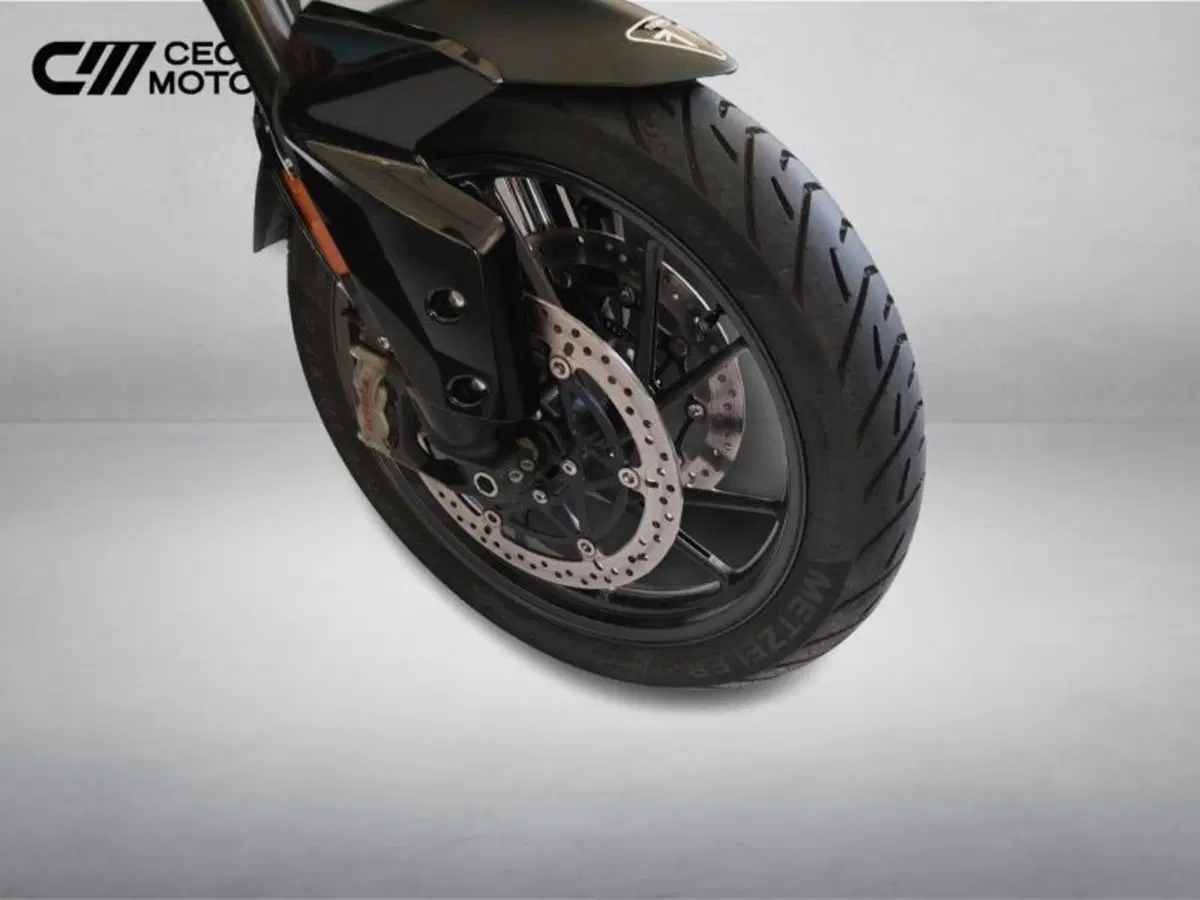 Triumph Tiger 900 GT (2024 - 26) (13)