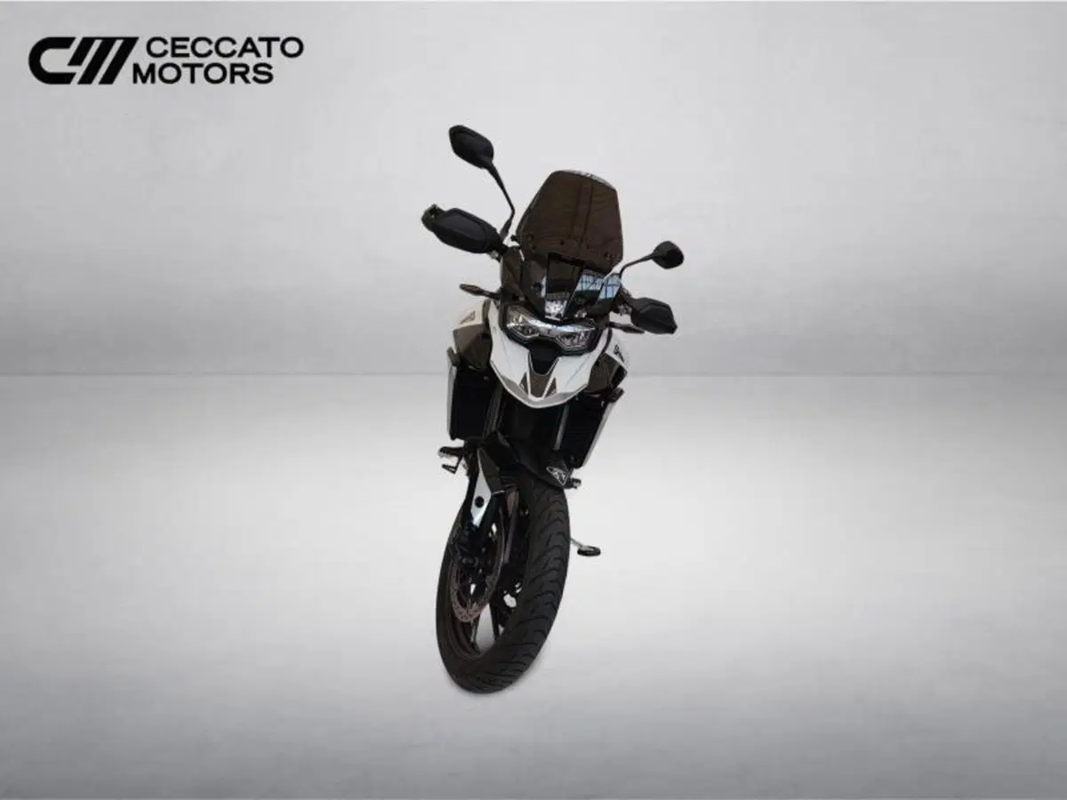 Triumph Tiger 900 GT (2024 - 26) (9)