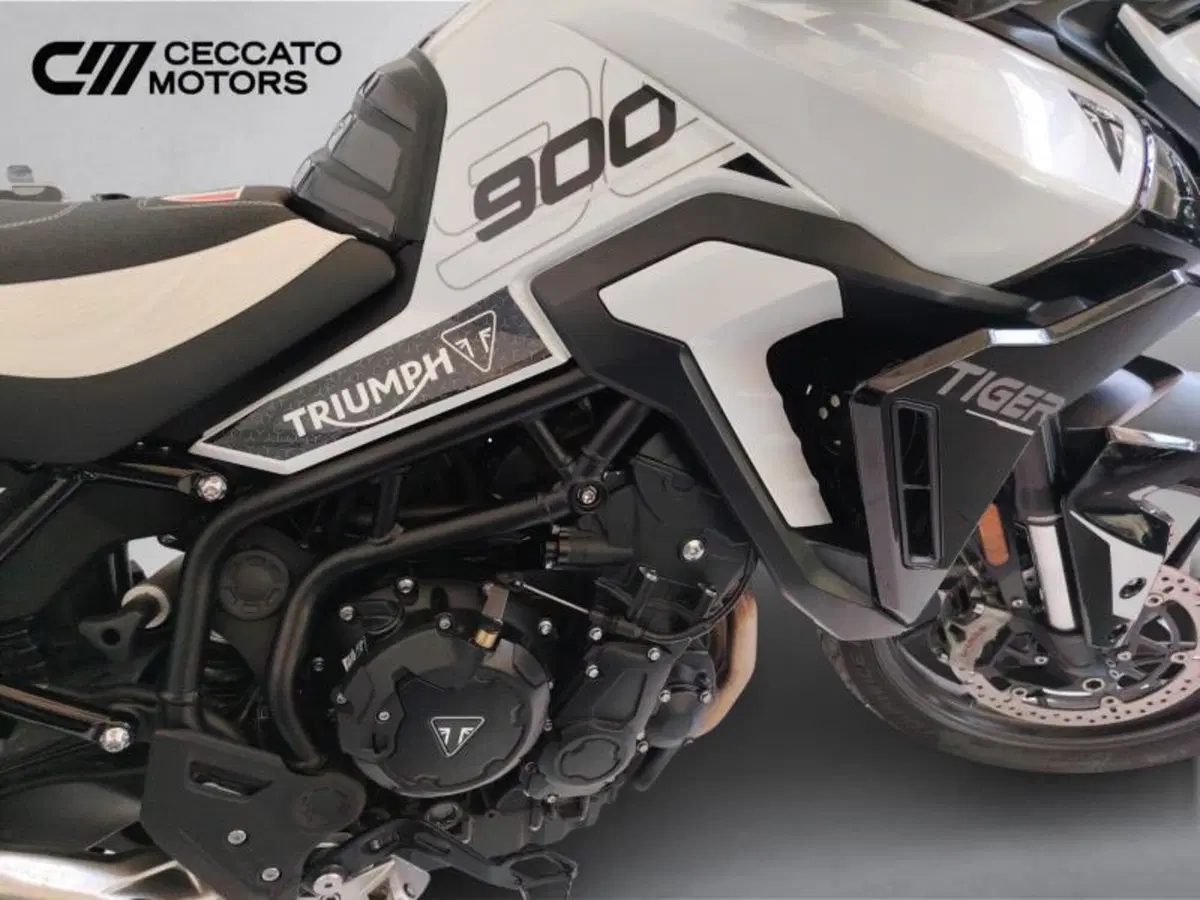 Triumph Tiger 900 GT (2024 - 26) (15)