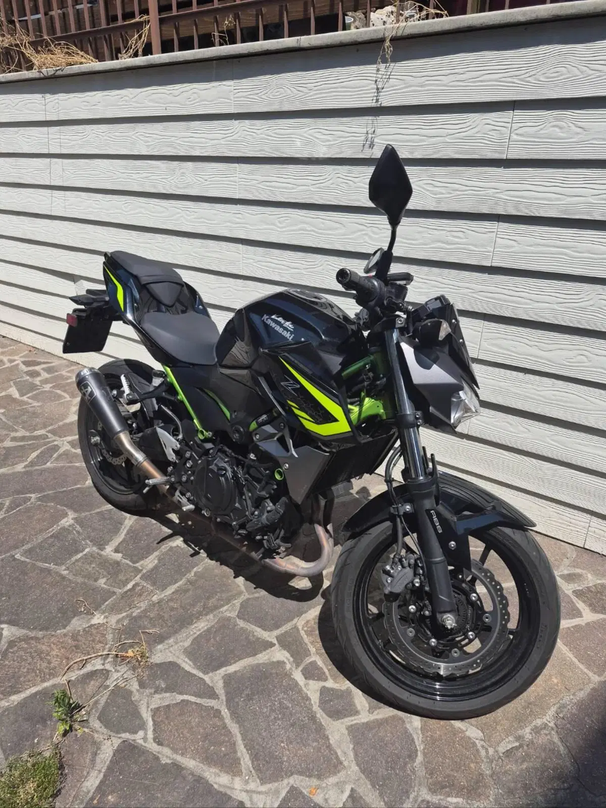 Kawasaki Z 400 (2019 - 20) (3)