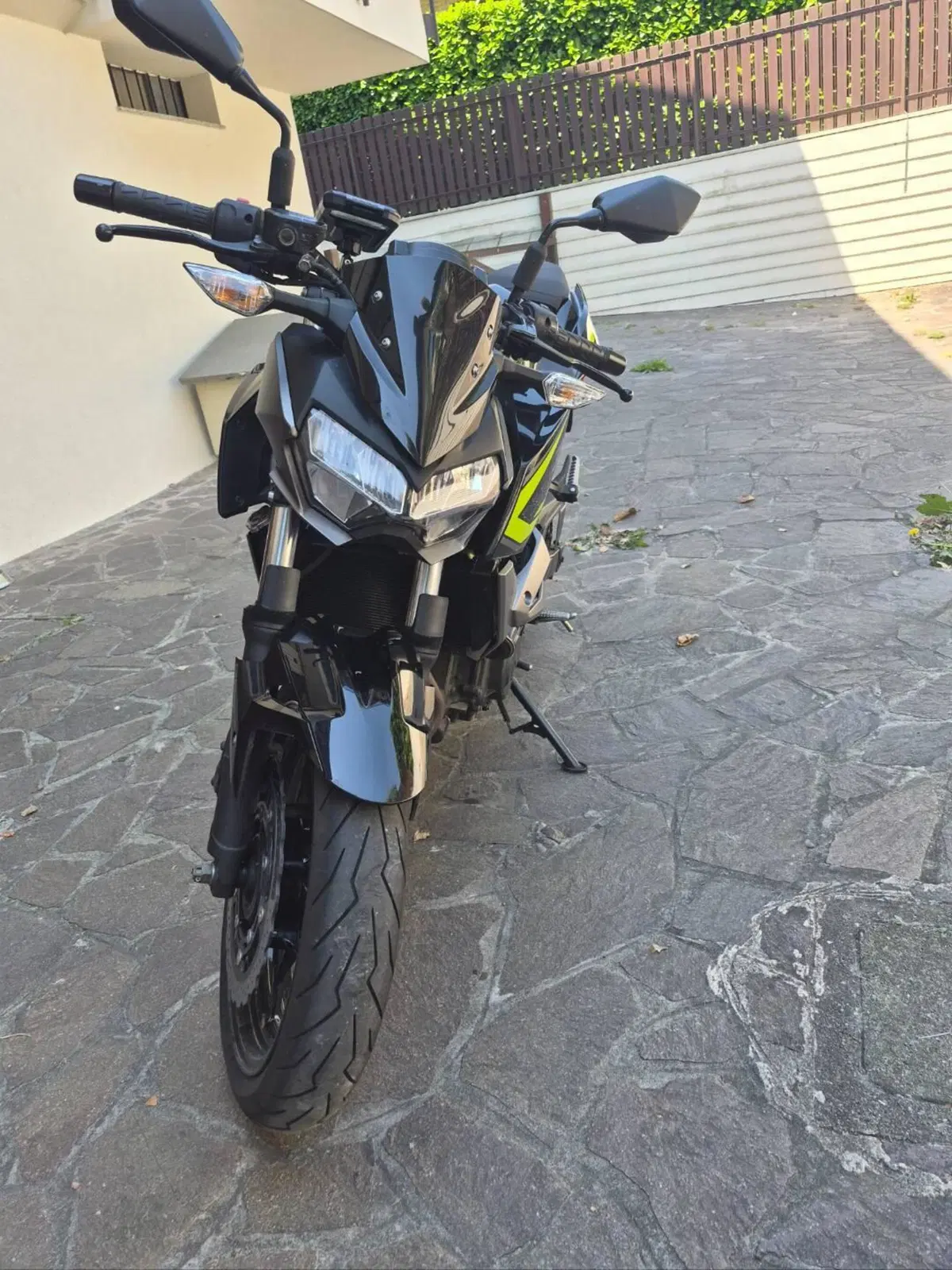 Kawasaki Z 400 (2019 - 20) (4)