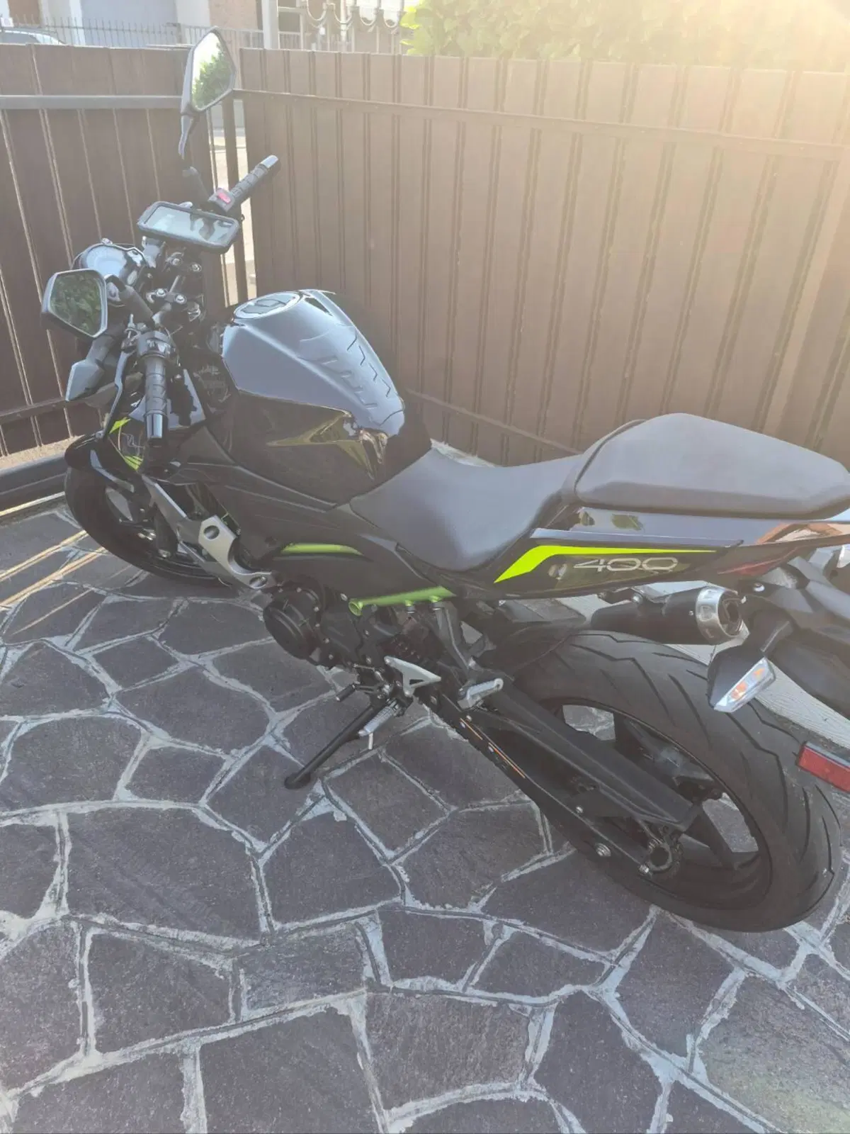 Kawasaki Z 400 (2019 - 20) (7)