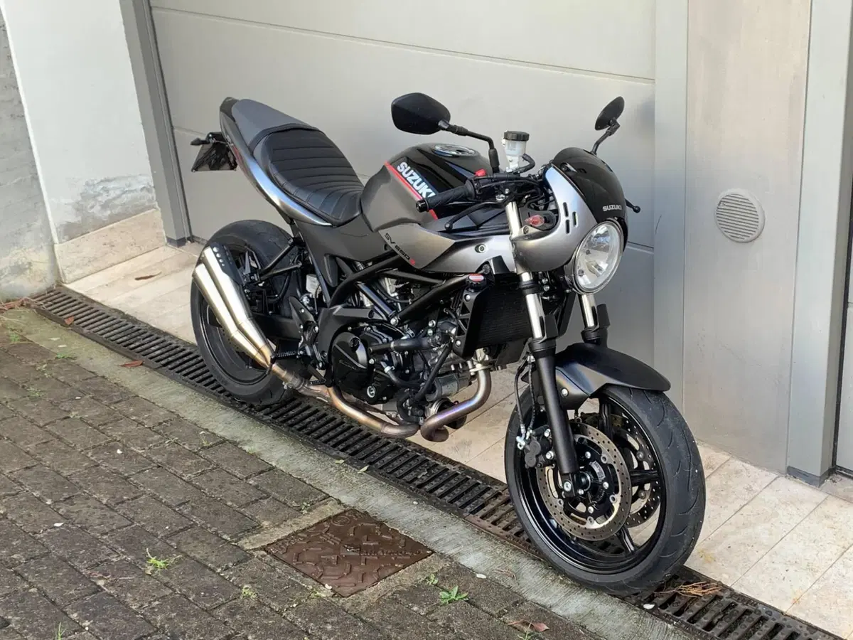 Suzuki SV 650 X - Ter (2018 - 20)