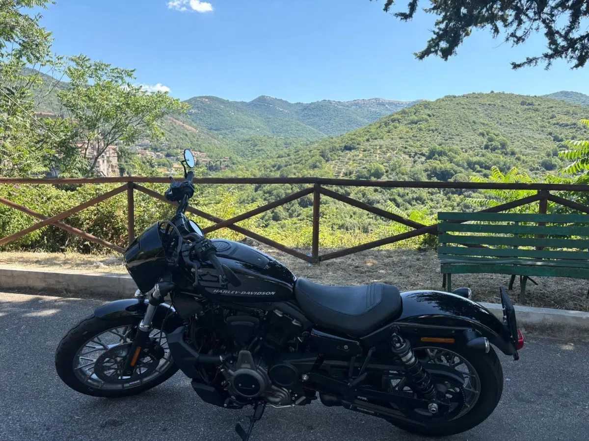 Harley-Davidson Nightster Special (2023 - 26)