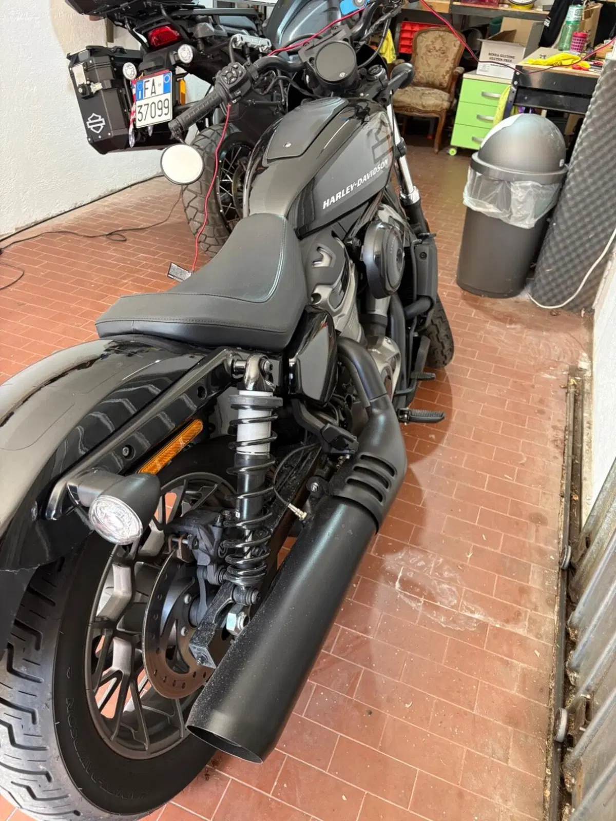 Harley-Davidson Nightster Special (2023 - 26) (2)