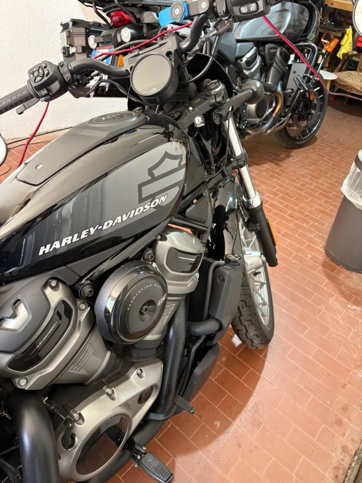 Harley-Davidson Nightster Special (2023 - 26) (3)