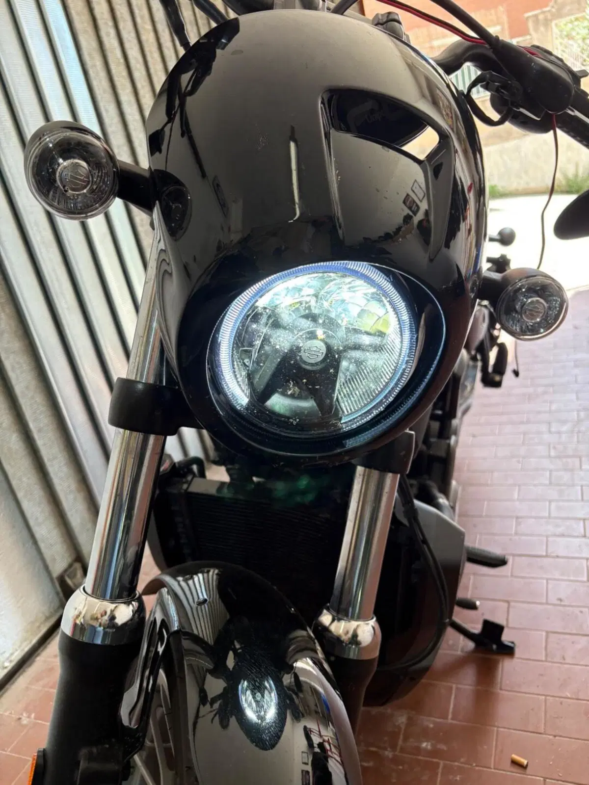 Harley-Davidson Nightster Special (2023 - 26) (7)