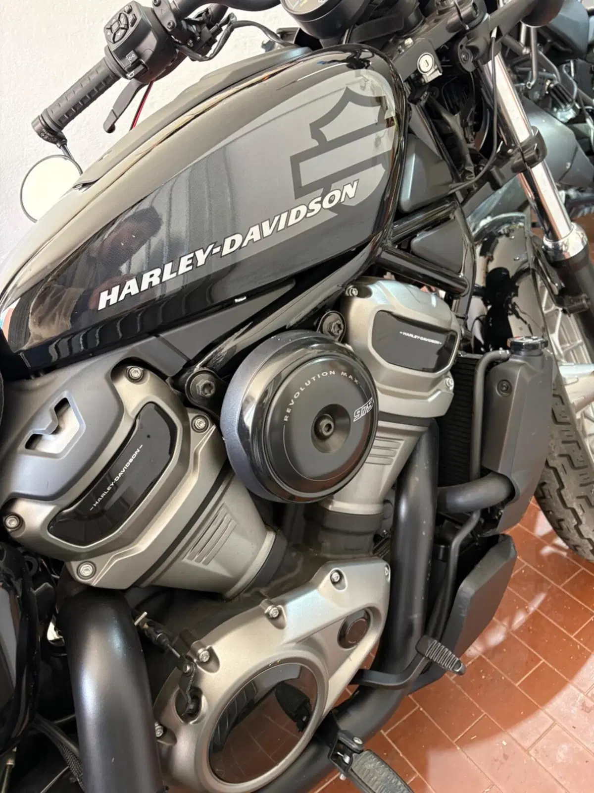 Harley-Davidson Nightster Special (2023 - 26) (13)