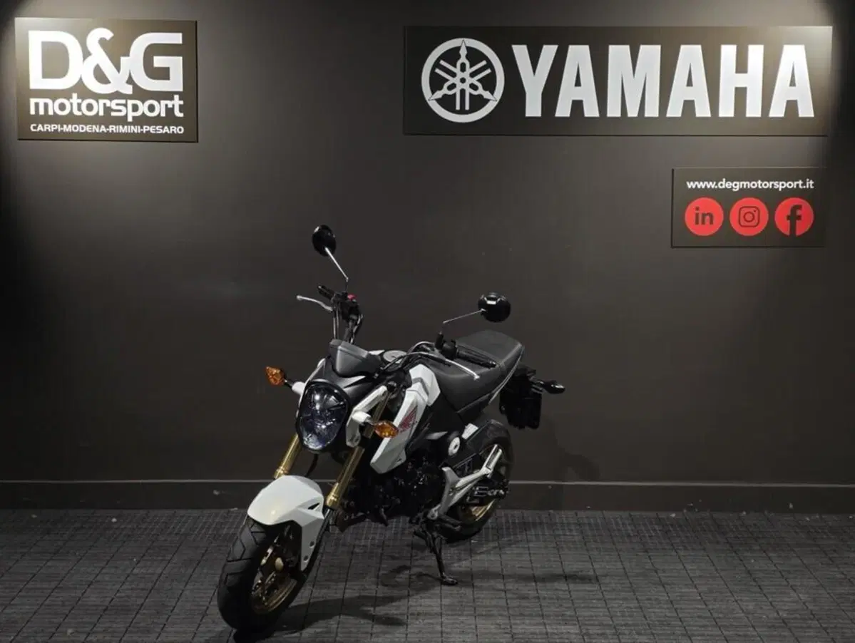 Honda MSX 125 (2016 - 17) (3)