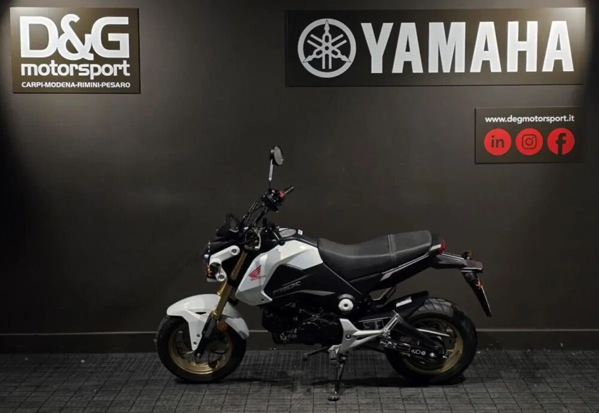 Honda MSX 125 (2016 - 17) (4)