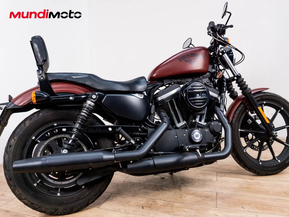 Harley-Davidson 883 Standard (2001 - 05) - XL 883 (3)