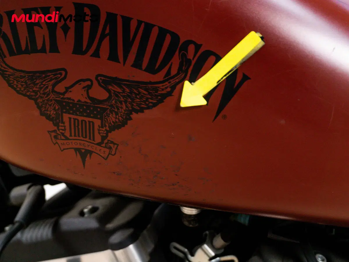 Harley-Davidson 883 Standard (2001 - 05) - XL 883 (14)
